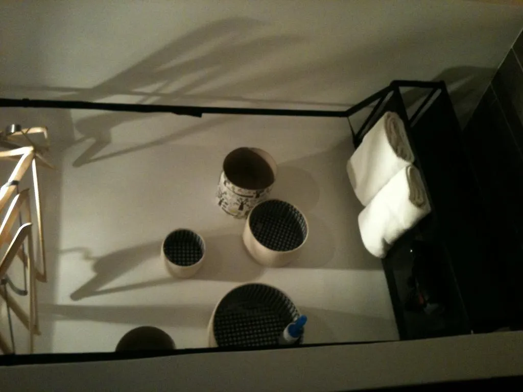 Dab Trevi Apartment Rome